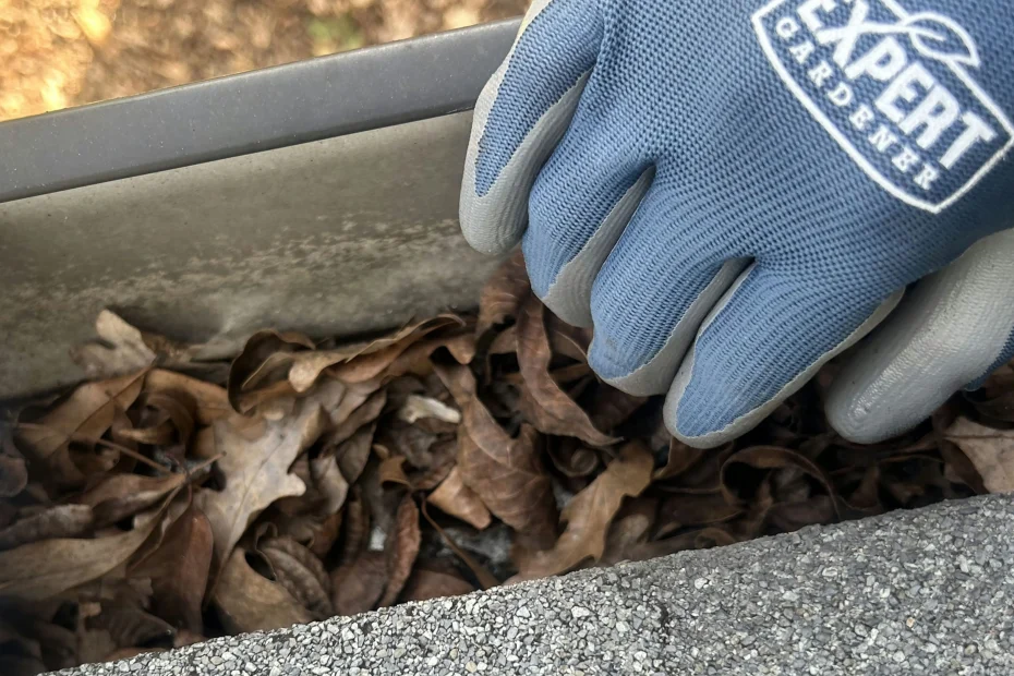 Gutter Cleaning Brook Park